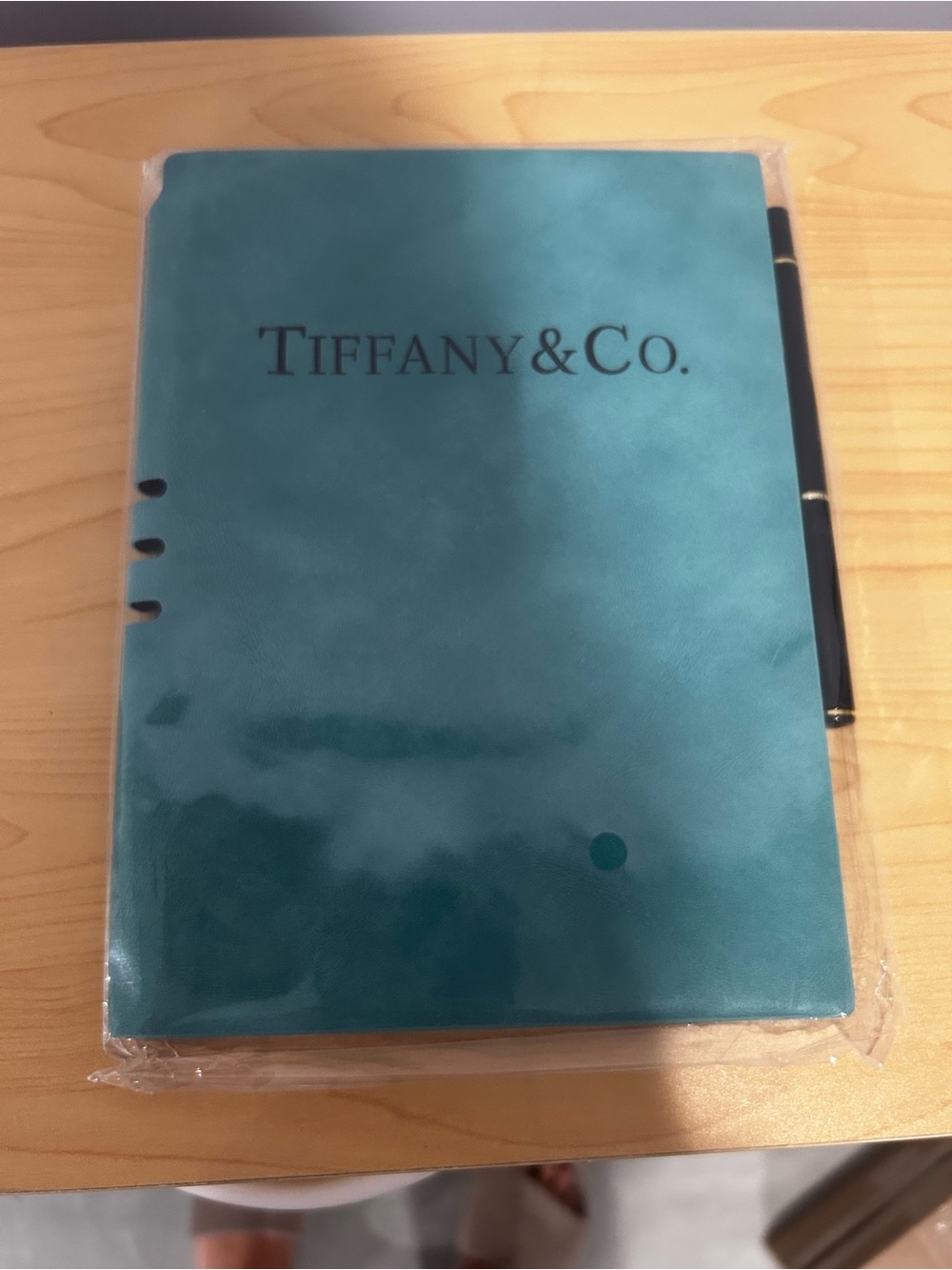 NEW Tiffany & Co Notebook with Pen